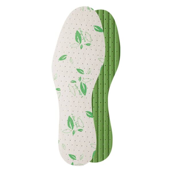 Plantilla con aloe vera <u>Pedag Aloe Vera </u>