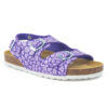 Morado