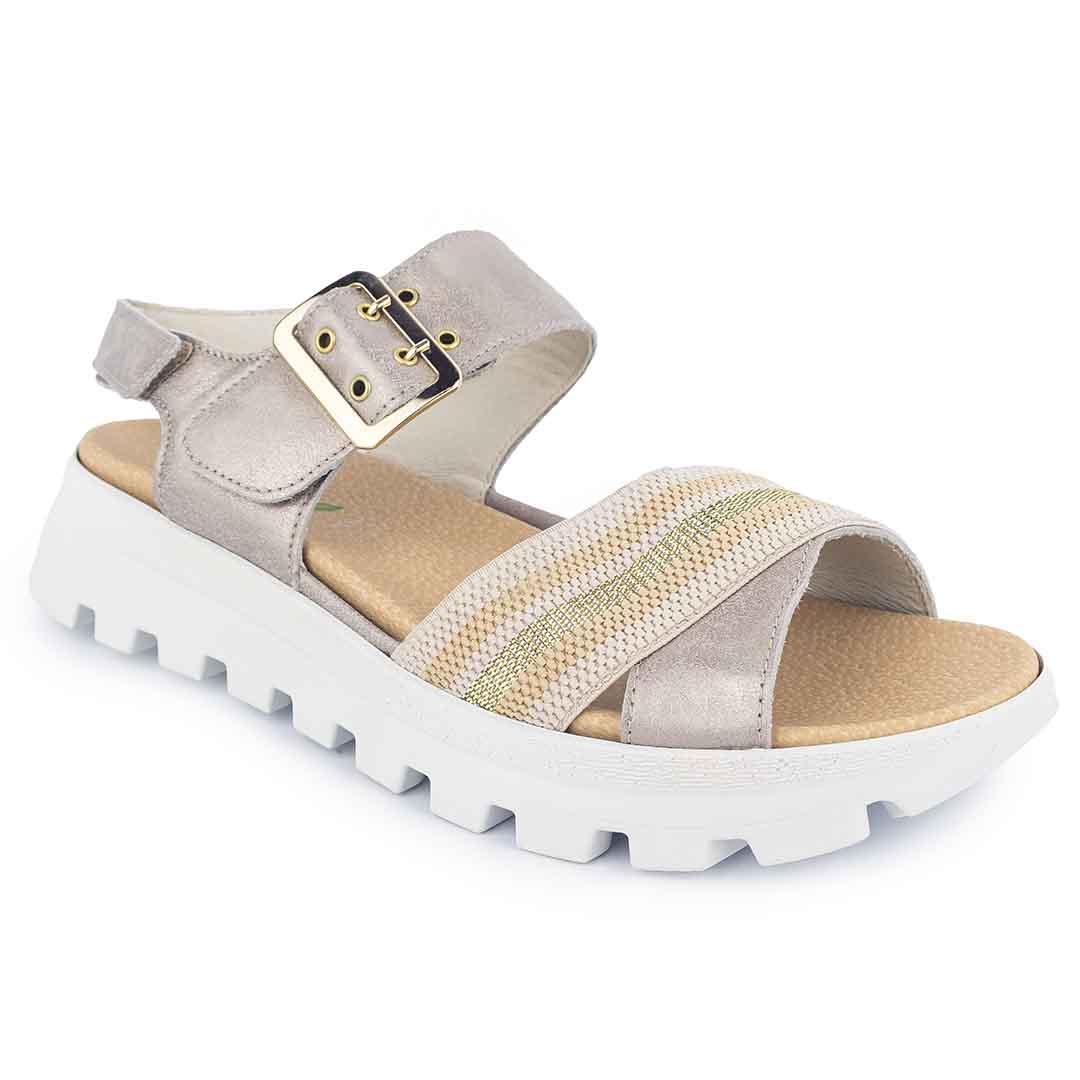 Waldläufer H-Nele Stein