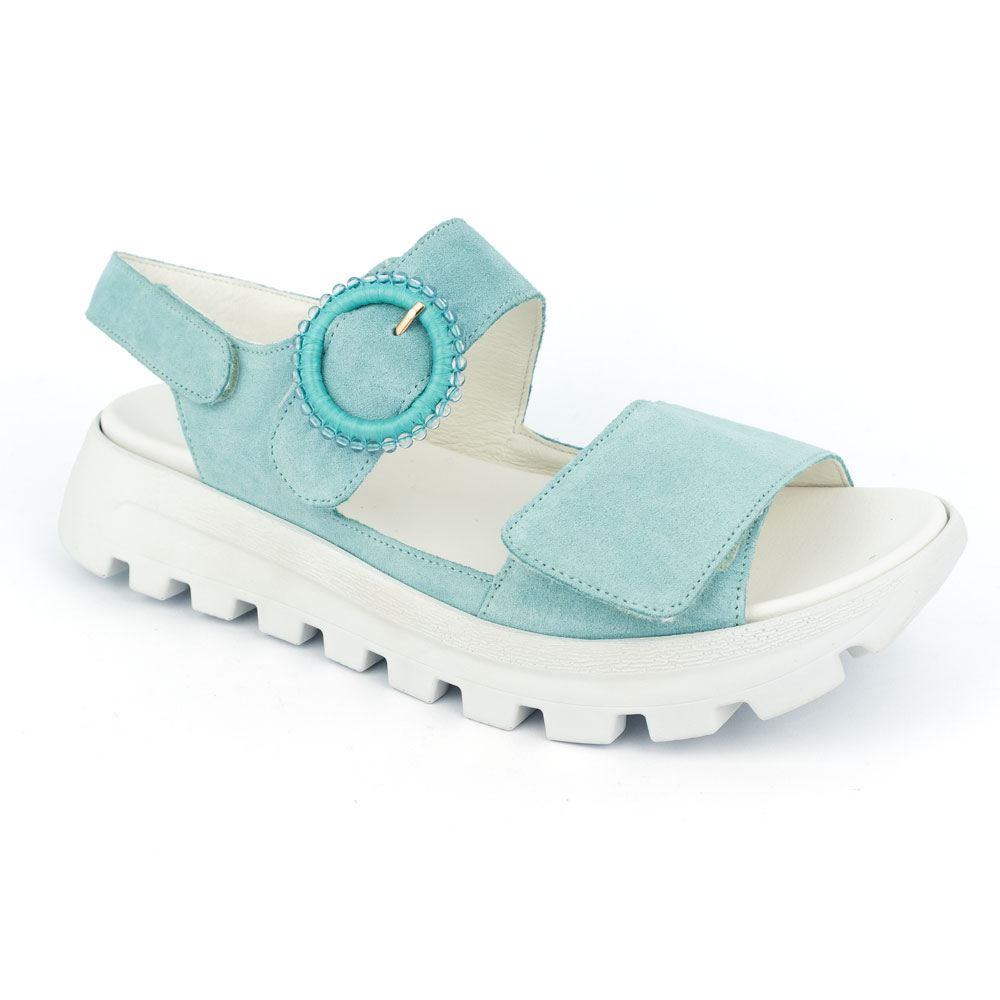 Waldläufer H-Nele Vento