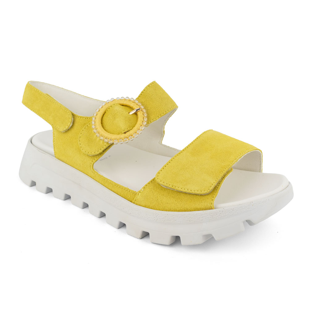 Waldläufer H-Nele Vento Sonne