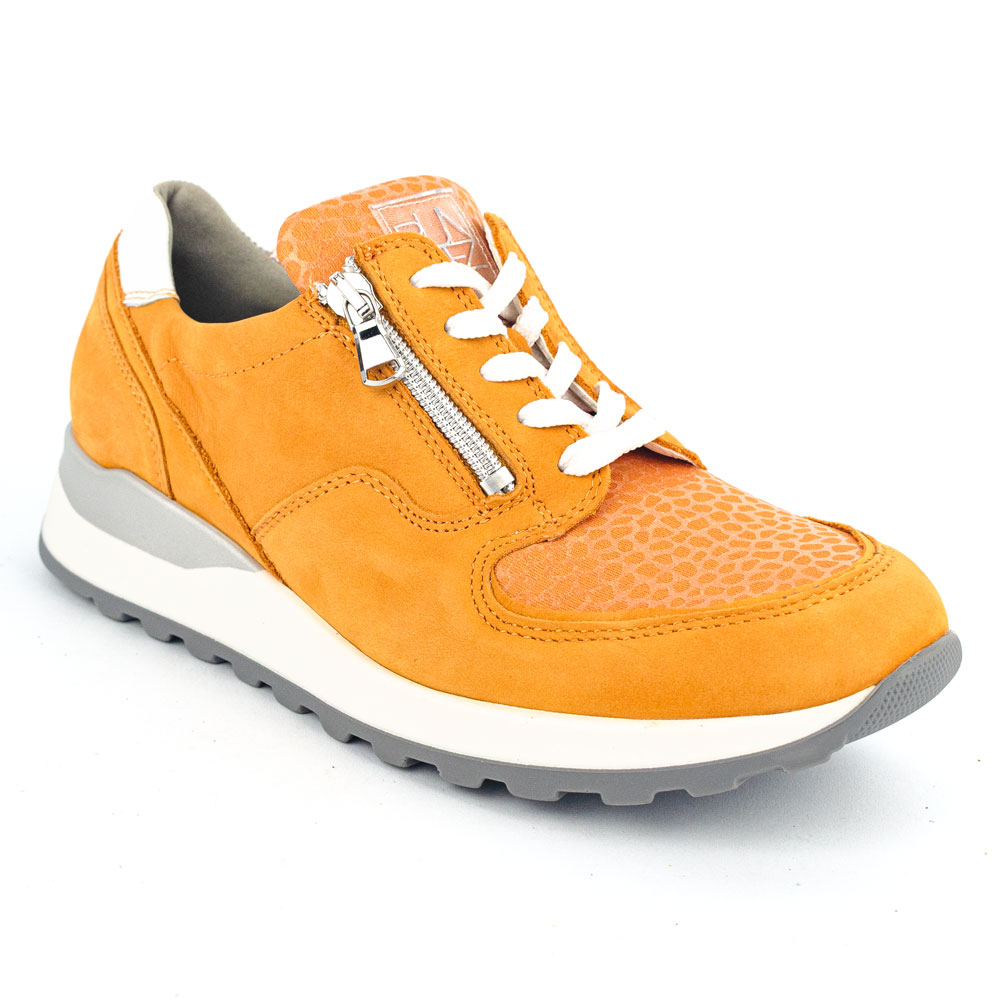 Waldläufer H-Hiroko Arange