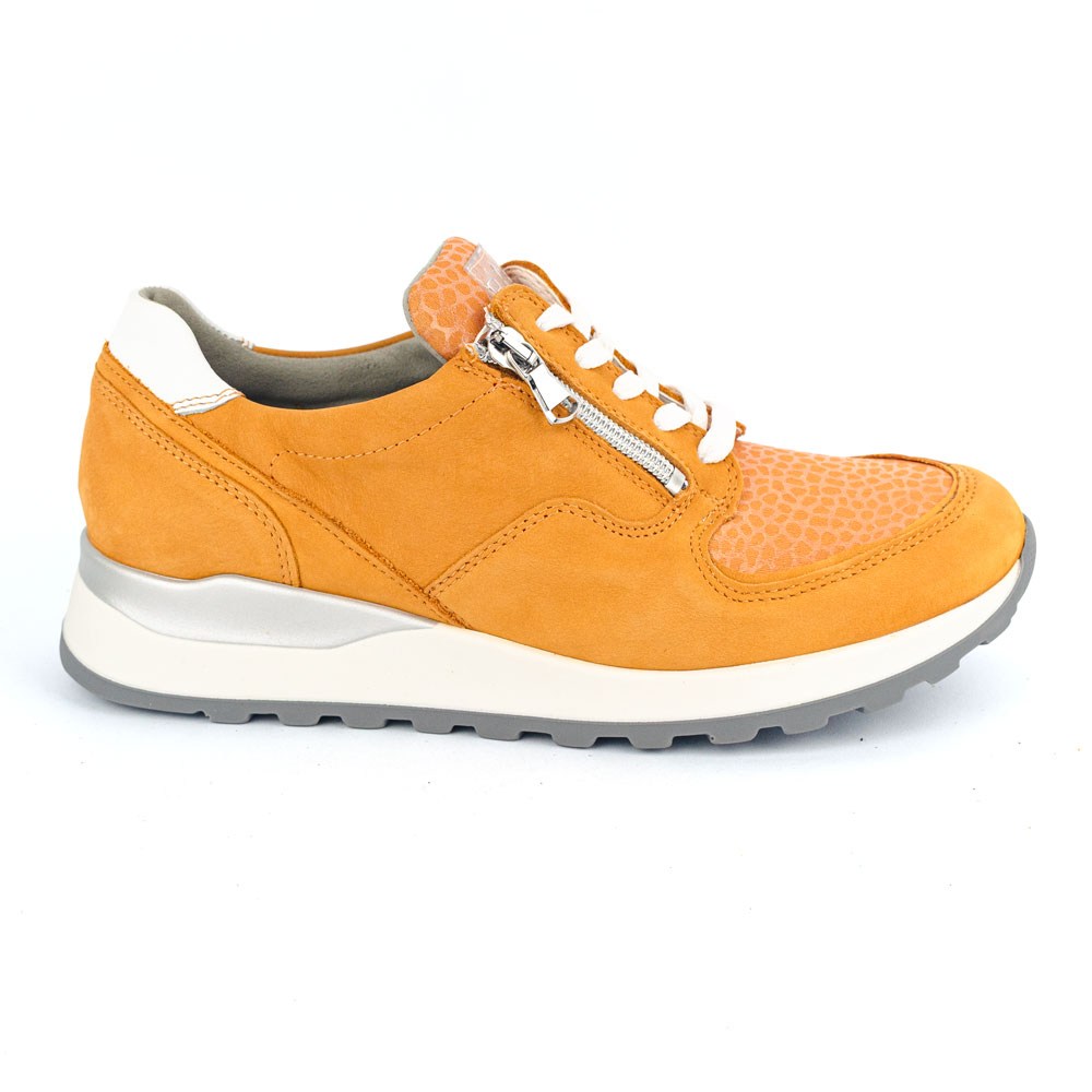 Waldläufer H-Hiroko Arange - Imagen 4